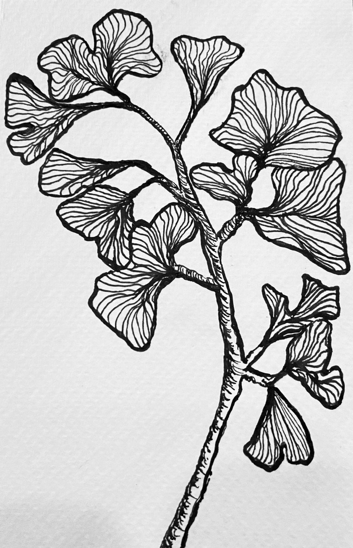 Desenho à Distância - Inspiração